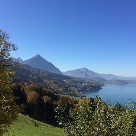 Hotel Meielisalp Leissigen