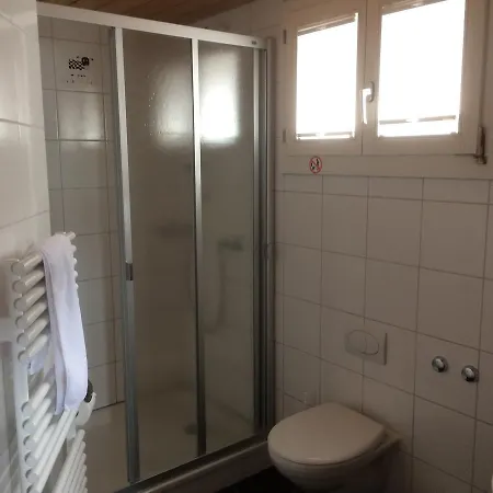 Meielisalp 3* 莱西根