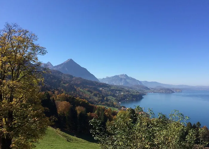 Hotel Meielisalp Leissigen